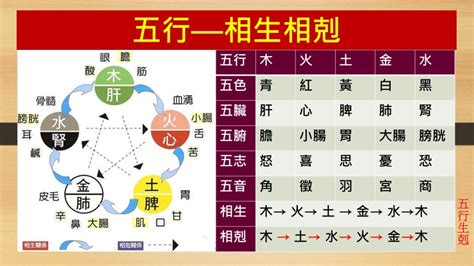 剋火|五行相剋一目了然：木土水火金，相生相剋口訣。